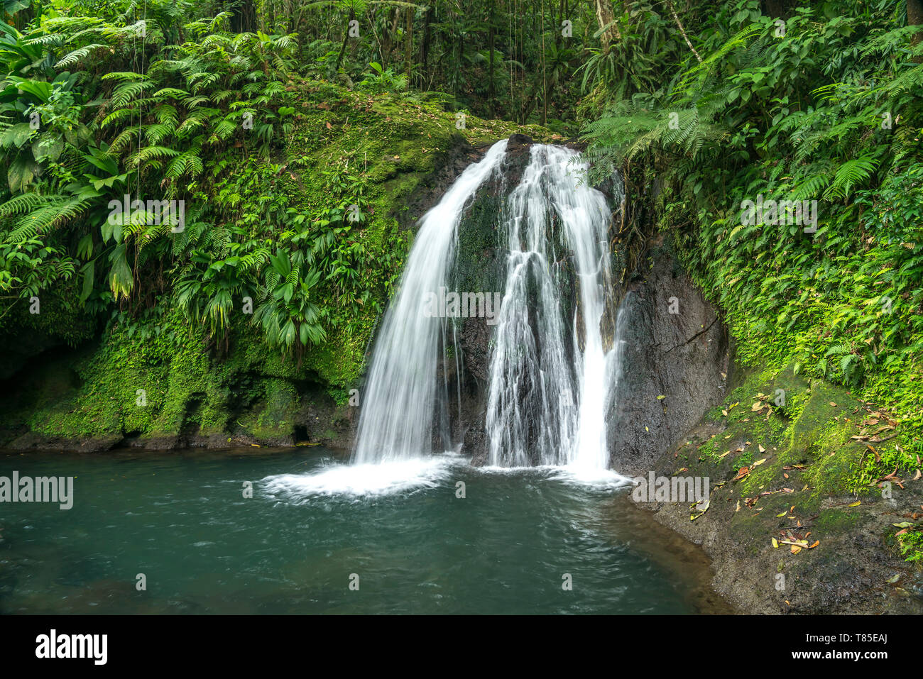 Wasserfall Cascade aux Ecrevisses im Nationalpark Guadeloupe, Basse-Terre, Guadeloupe, Frankreich | Wasserfall Cascade aux Ecrevisses Guadeloupe Natio Stockfoto