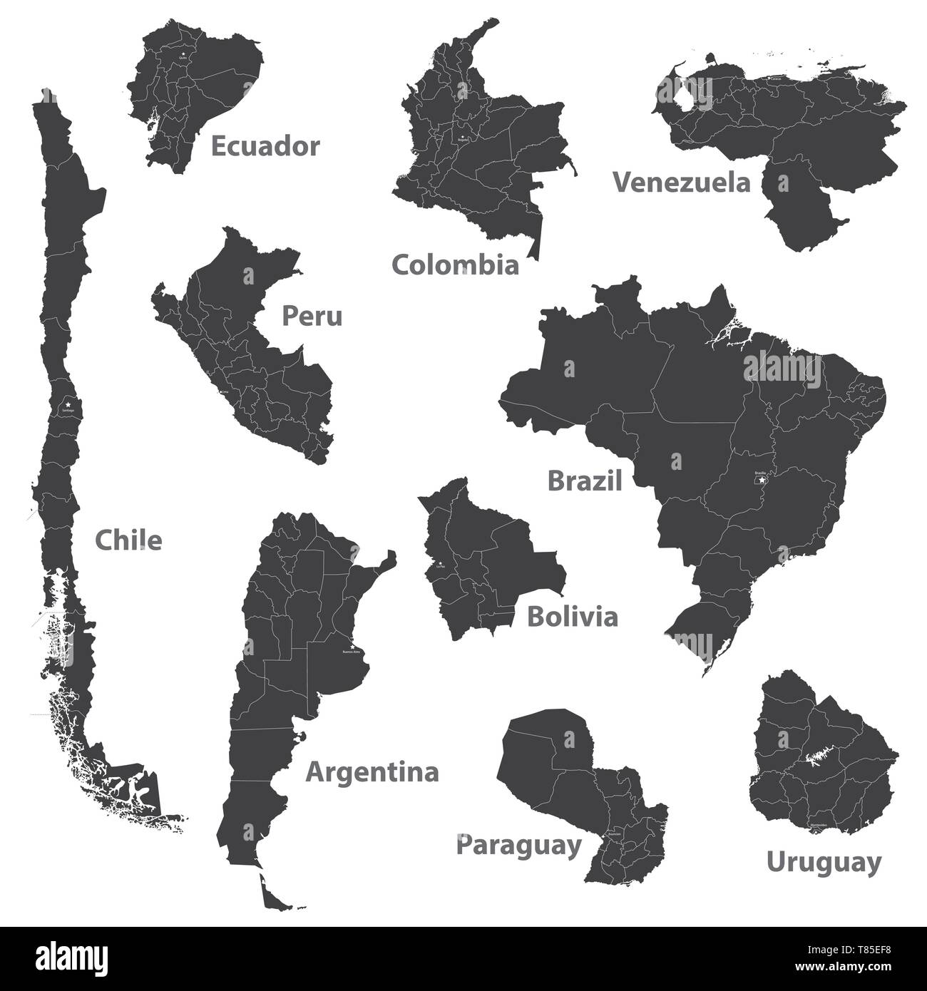 Die Fahnen der 12 unabhängigen Ländern Südamerikas in alphabetischer Reihenfolge Stock Vektor
