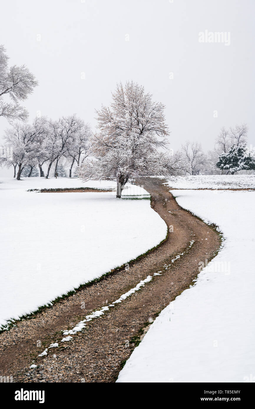Schmutz Weg schlängelt sich durch frischen Schnee Frühling Mai 9. Stockfoto