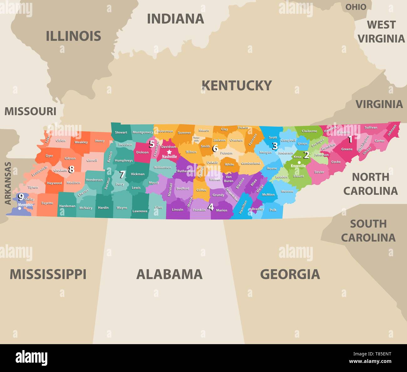 Tennessee Vektor congressional distrcits Karte mit den nächstgelegenen Mitgliedstaaten Stock Vektor