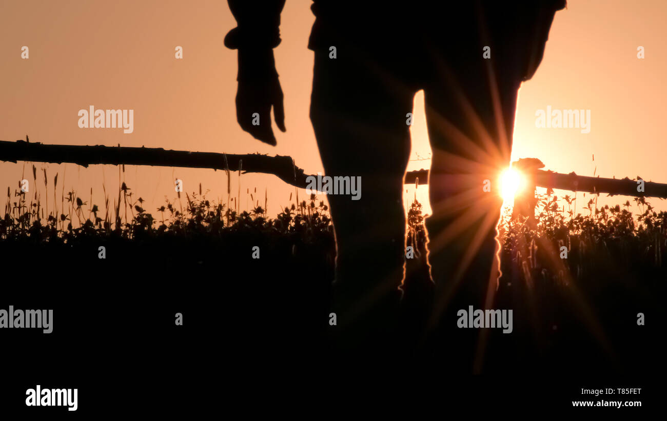 Der Mensch Silhouette am Sonnenaufgang, Sonnenuntergang Hintergrund. Grüner Tourismus, eco Leben im Dorf auf Hintergrundbeleuchtung. Ländliche Szene. Im ländlichen Hintergrund. Dorf Stockfoto