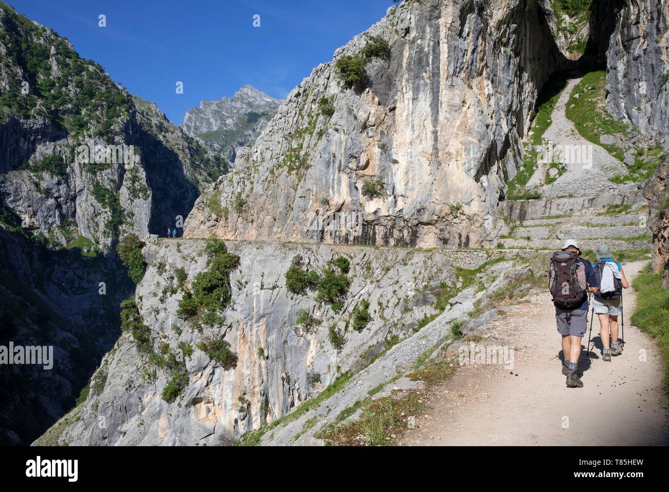 Spanien, Gemeinschaft von Asturien, Picos de Europa Nationalpark, Arenas de Cabrales, Wanderer auf dem Kümmert sich Trail, Cares Schlucht Stockfoto