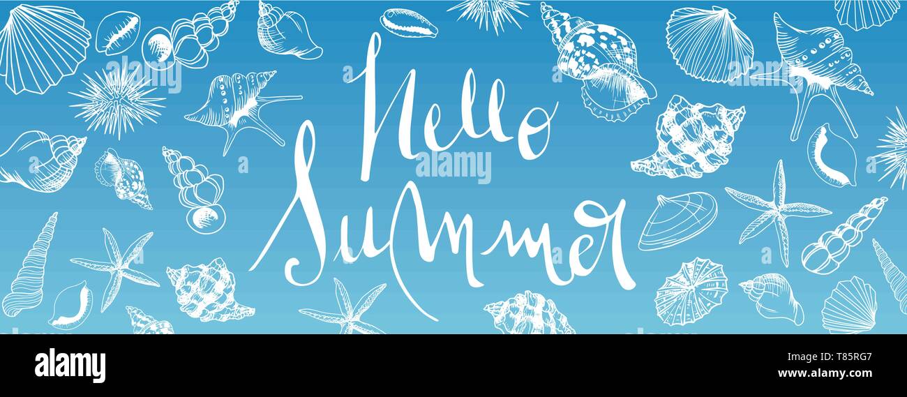 Vektor seashell Doodles vollständigen Vektor großes Banner Stock Vektor