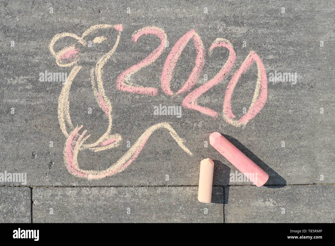 2020 Neue Jahr der Ratte. Draufsicht auf Text und Bild, 2020 und hübsche Maus Stockfoto