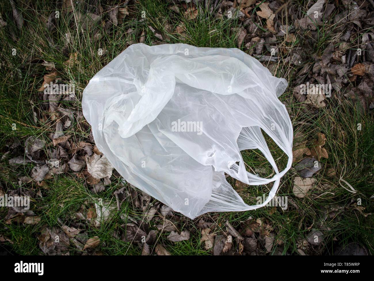 Verworfen Plastikbeutel Stockfoto