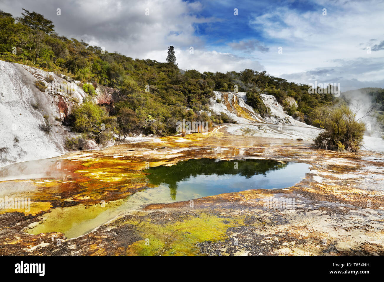 Orakei Korako Geotermal Bereich, New Zealand Stockfoto