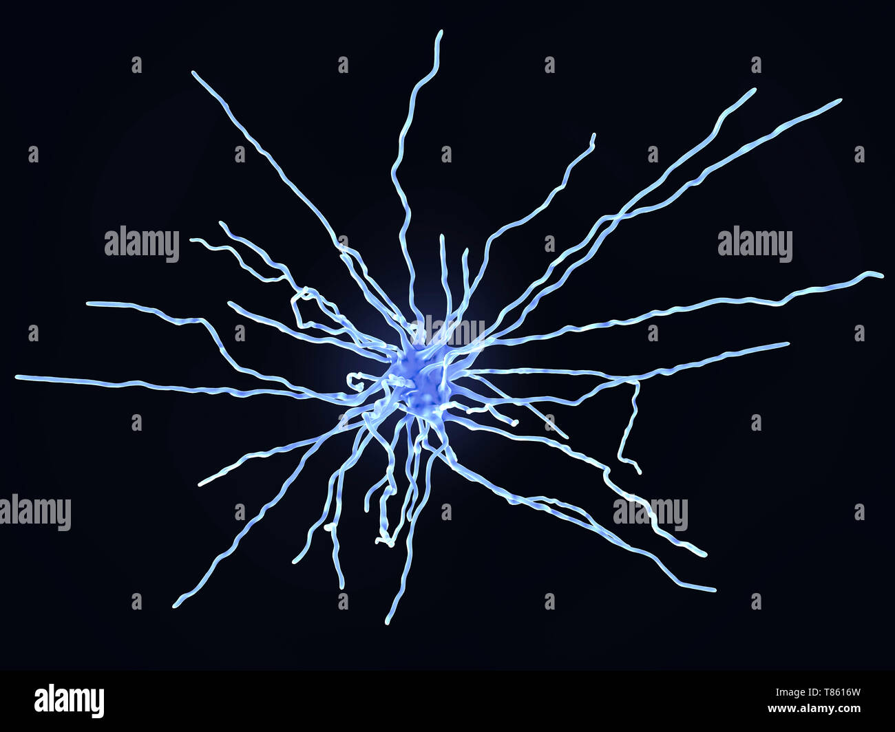 Faserige astrocyte, Abbildung Stockfoto