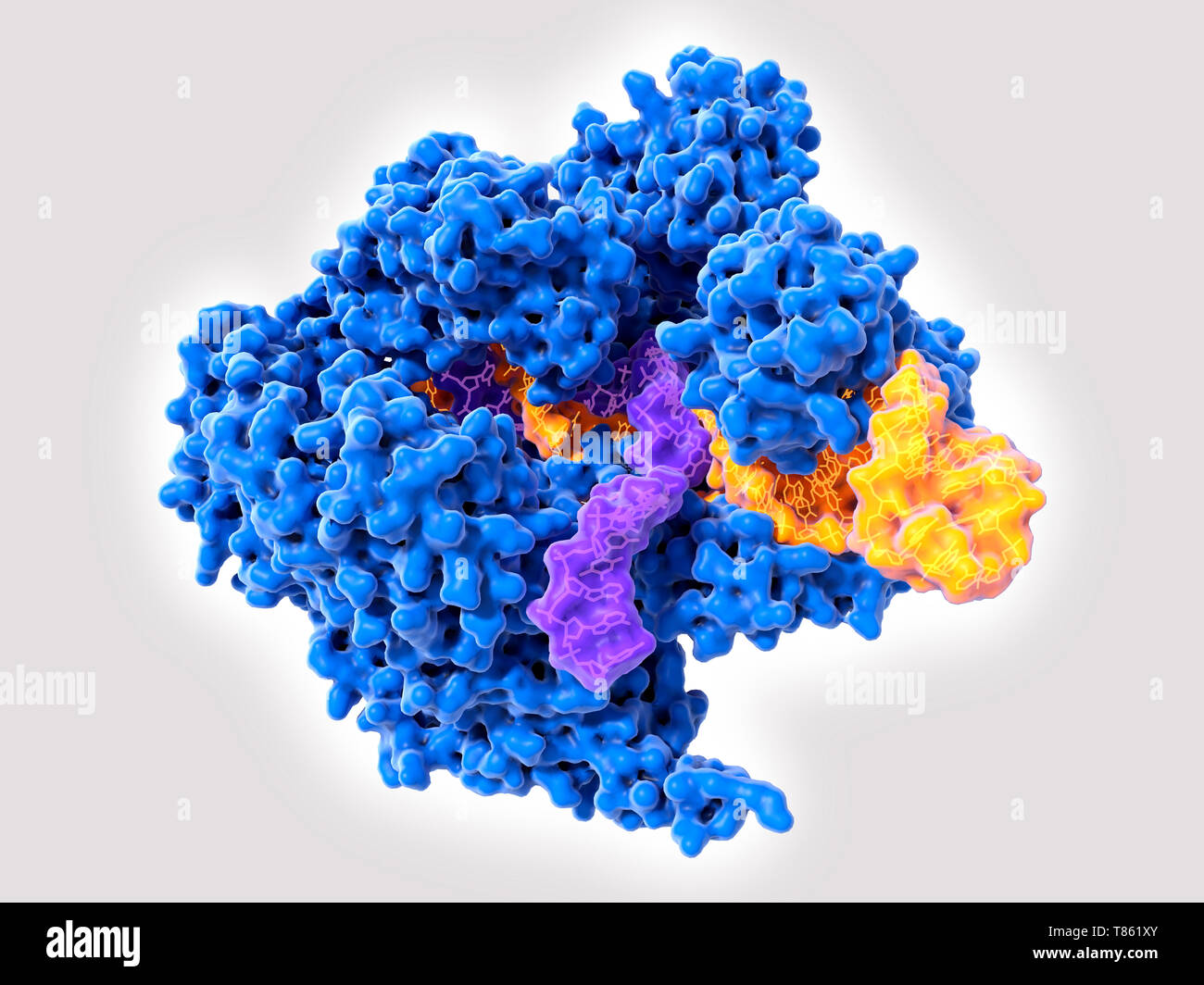 CRISPR-Cas9-Gens Bearbeitung komplexer, Abbildung Stockfoto