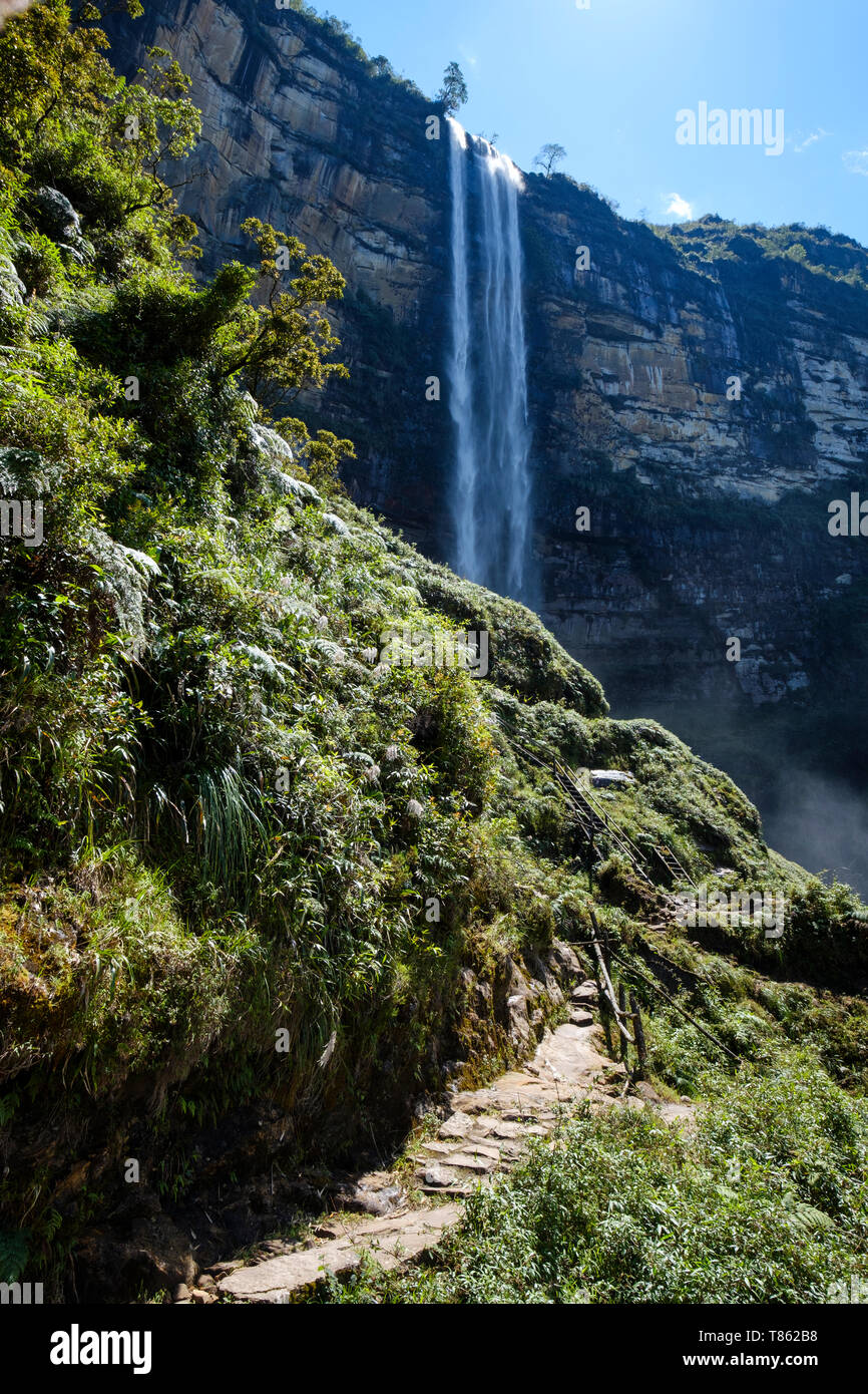 Trail führt zu Gocta Wasserfall, Wasserfall 771 Meter (2.530 ft) hoch auf der Dschungel der Provinz Chachapoyas, Amazonas Region, Peru Stockfoto