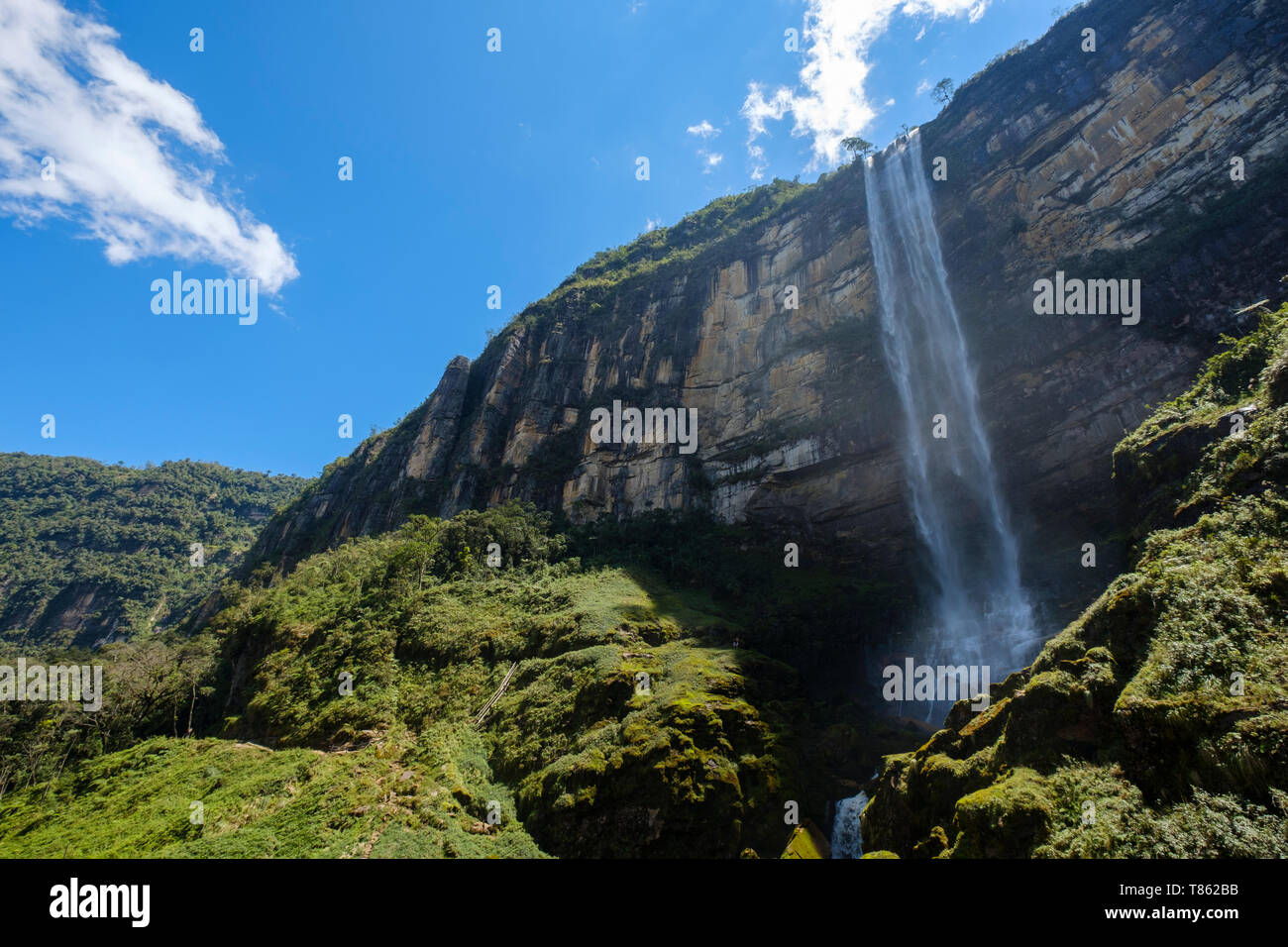 Gocta Wasserfall Wasserfall 771 Meter (2.530 ft) hoch auf der Dschungel der Provinz Chachapoyas, Amazonas Region, Peru Stockfoto