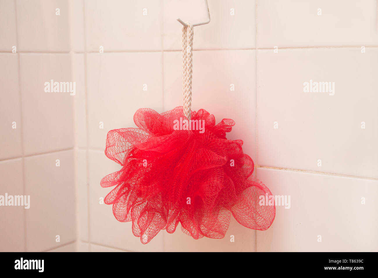 Haken-auf-Dusche