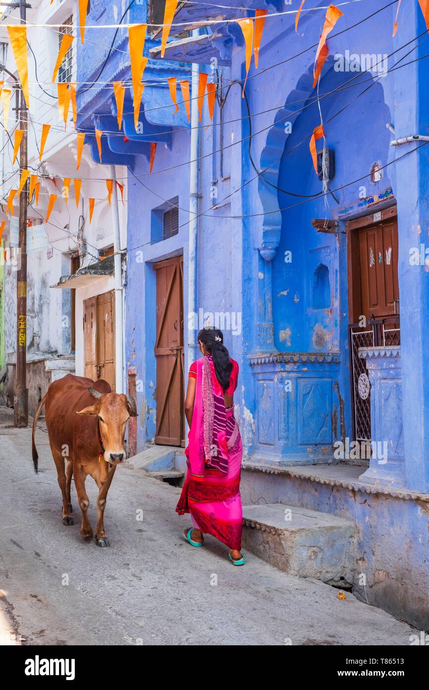 Indien, Rajasthan, Bundi, Kühe in den Straßen der Altstadt Stockfoto