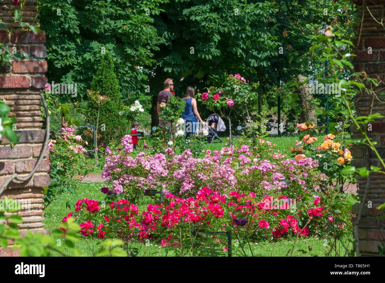 Frankreich, Hauts de Seine, Puteaux, Courbevoie Insel, Rose Garden Stockfoto