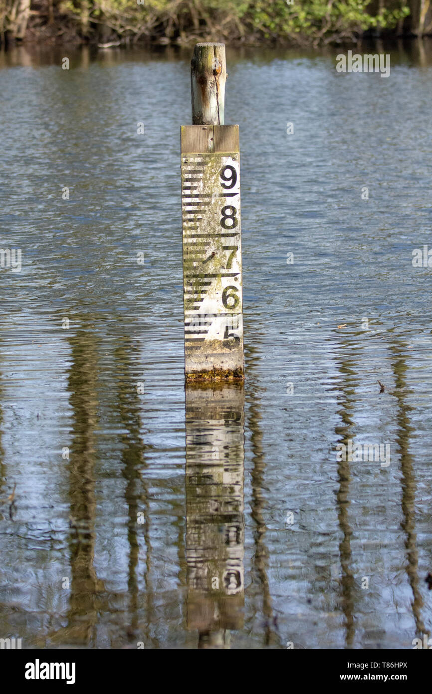 Pegelmessung post im Teich Stockfoto