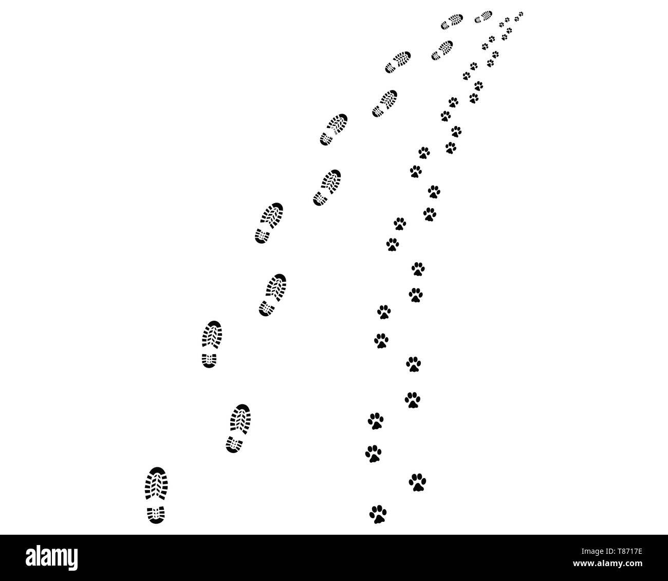 Spuren von Mensch und Hund, biegen Sie nach links oder rechts Stockfoto