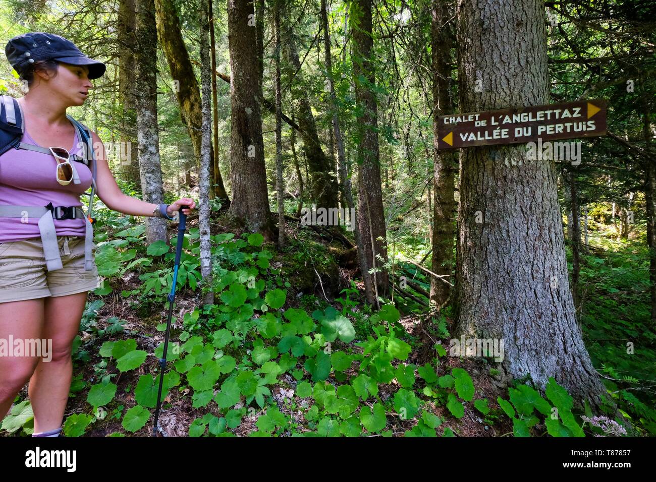 Frankreich, Haute Savoie, Prévessin-moëns, wandern zu Nervals Klamm Stockfoto