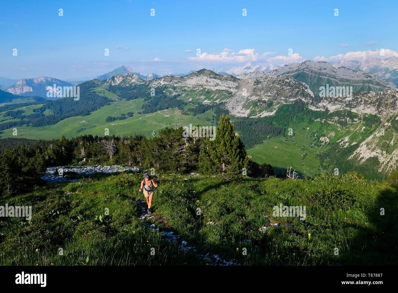 Frankreich, Haute Savoie, Le La Balme de Thuy, den Blick auf die glières Plateau von Tête Noire Stockfoto