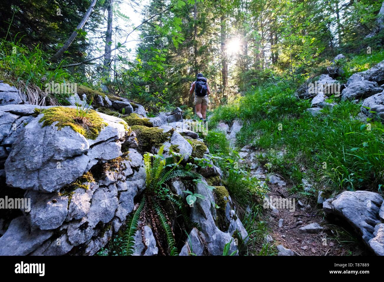 Frankreich, Haute Savoie, Le La Balme de Thuy, Wanderer bis zu Fuß zum Tête Noire Stockfoto