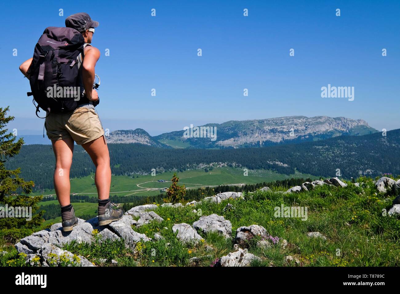 Frankreich, Haute Savoie, Le Petit-Bornand-les-Glières, Blick auf die glières Plateau, von den Schafen Pass Stockfoto