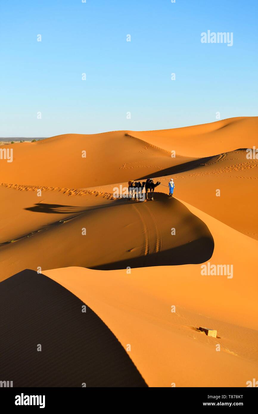 Marokko, Tafilalet region, Merzouga, Erg Chebbi Dunes Stockfoto