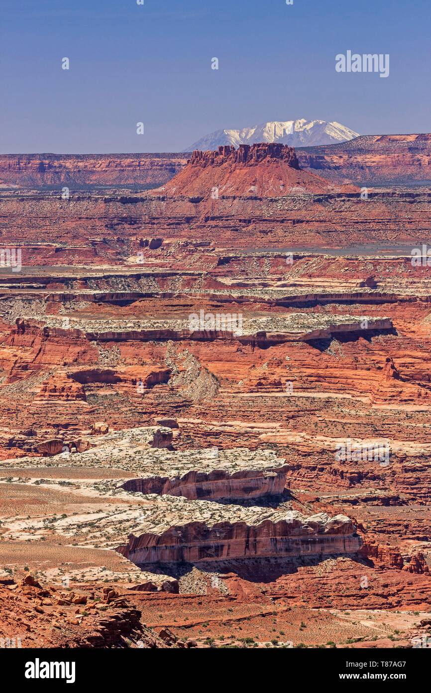 Vereinigte Staaten, Utah, Colorado Plateau, Canyonlands National Park, Insel im Himmel Bezirk, Blick Richtung Labyrinth Bezirk mit ekker Buute in der backgroung vom Grand View Point Stockfoto