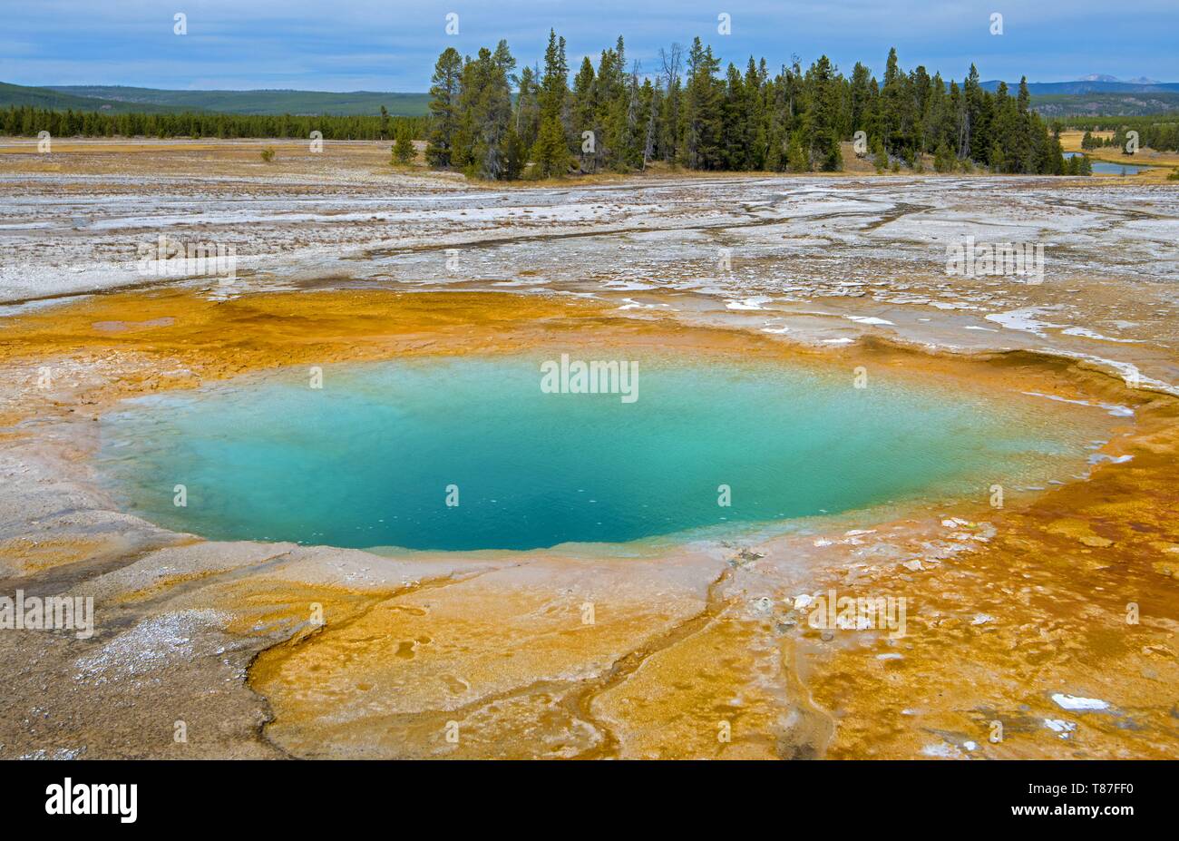 Usa, Wyoming, Yellowstone National Park, Grand Prismatic Spring Stockfoto