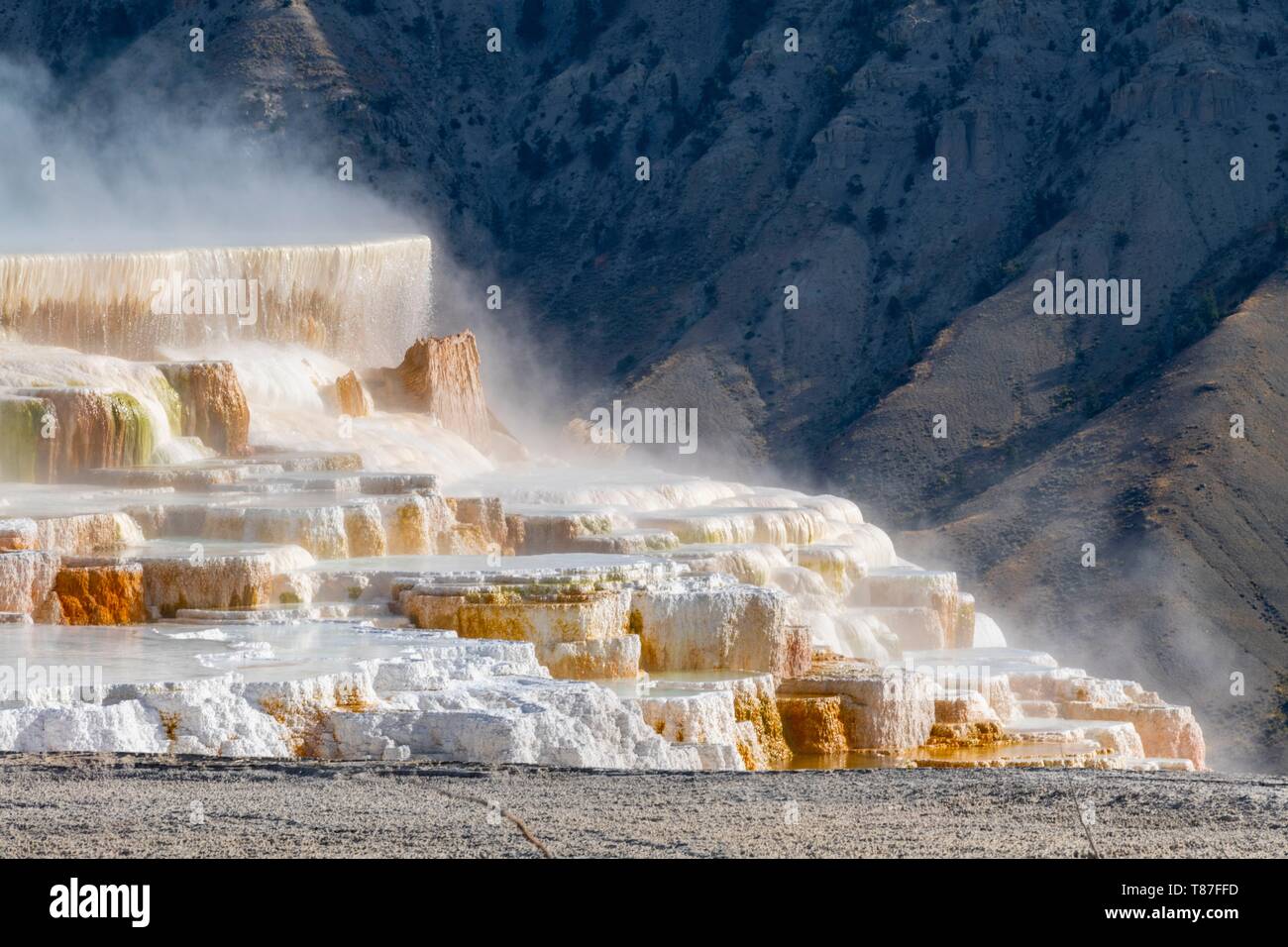 Usa, Wyoming, Yellowstone National Park, Mammoth Hot Springs Stockfoto