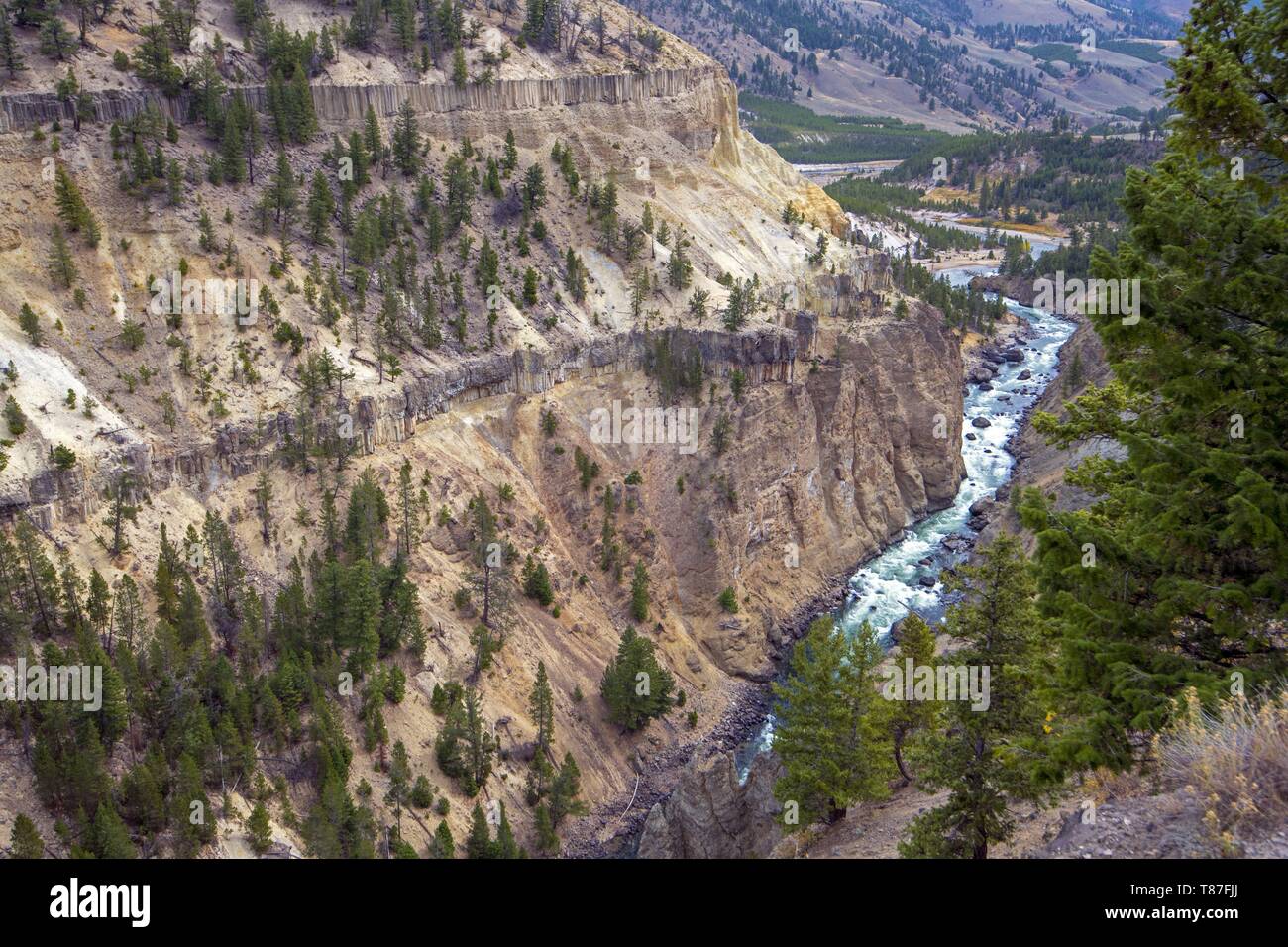 Usa, Wyoming, Yellowstone National Park, Yellowstone River Canyon Stockfoto