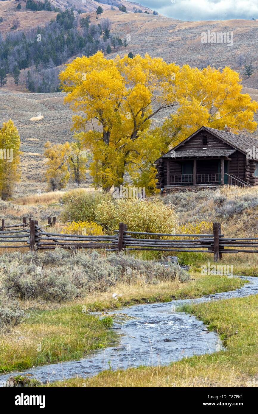 Usa, Wyoming, Yellowstone National Park, Lamar Valley Stockfoto