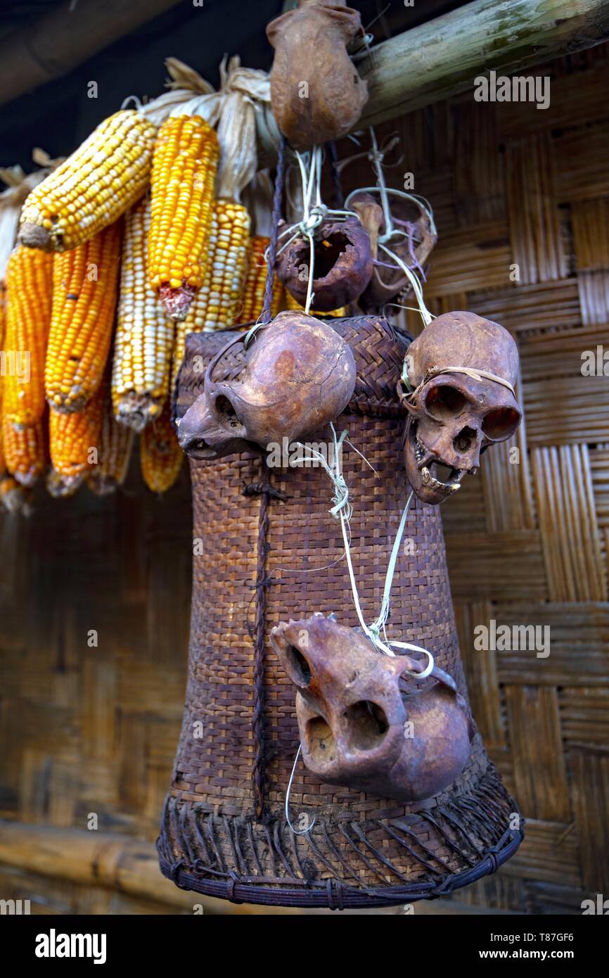 Indien, Nagaland, Kohima, jährliche Treffen der Naga Stämme während der Hornbill Festival Stockfoto