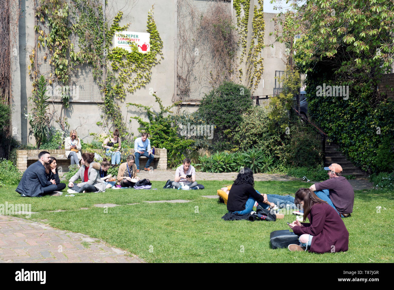 Menschen sitzen auf Gras im Sonnenschein, Culpeper gemeinschaft Garten, Londoner Stadtteil Islington Stockfoto