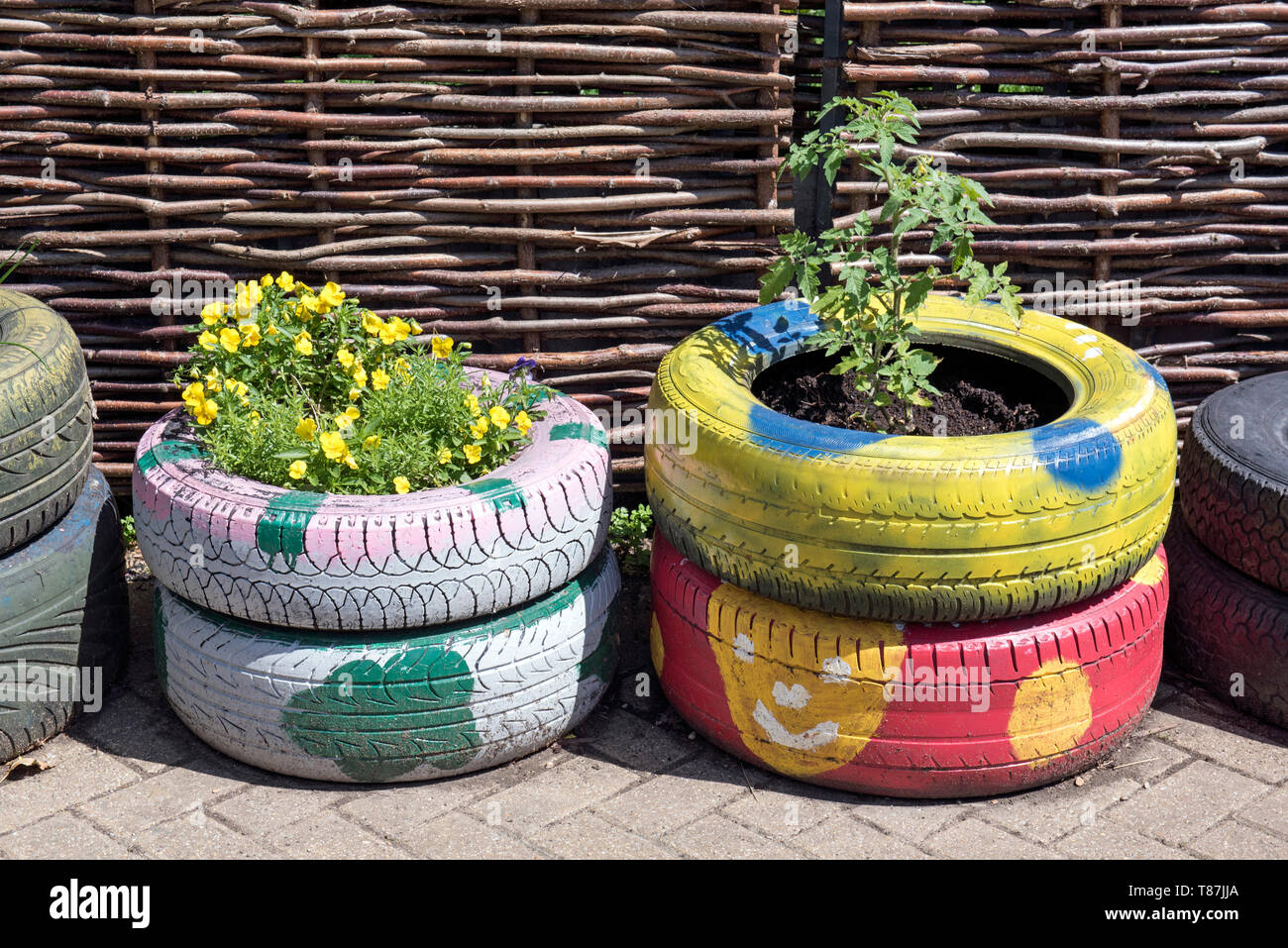 Bunte Reifen als Pflanzer für Pflanzen und Gemüse verwendet Stockfoto