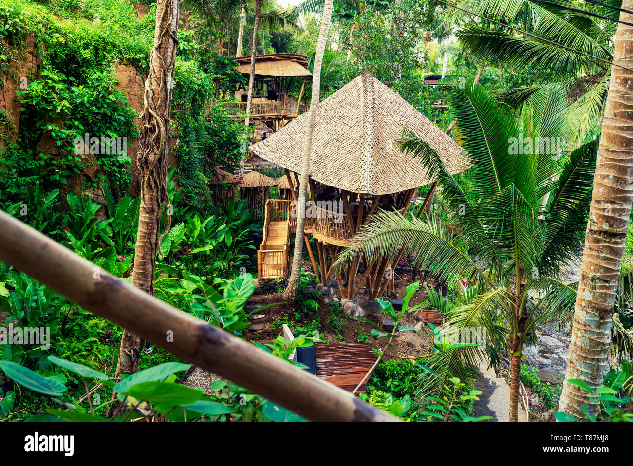 Natur Bambus Haus in traditioneller balinesischer Architektur im tropischen  Regenwald Dschungel Insel Bali, Indonesien ausgeblendet Stockfotografie -  Alamy