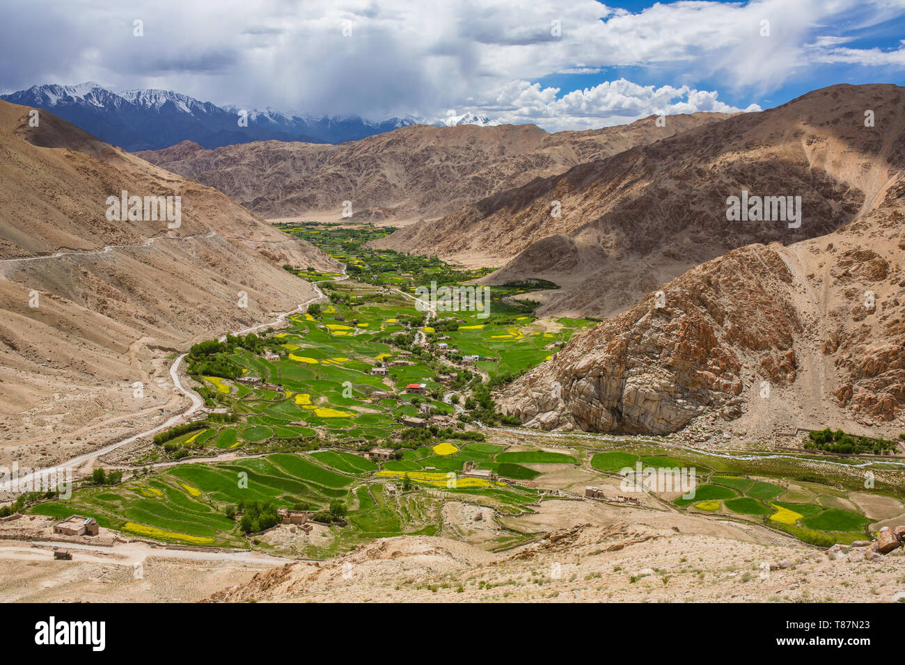 Schöne landcape auf das grüne Tal in Leh, Ladakh Bezirk im Sommer Stockfoto