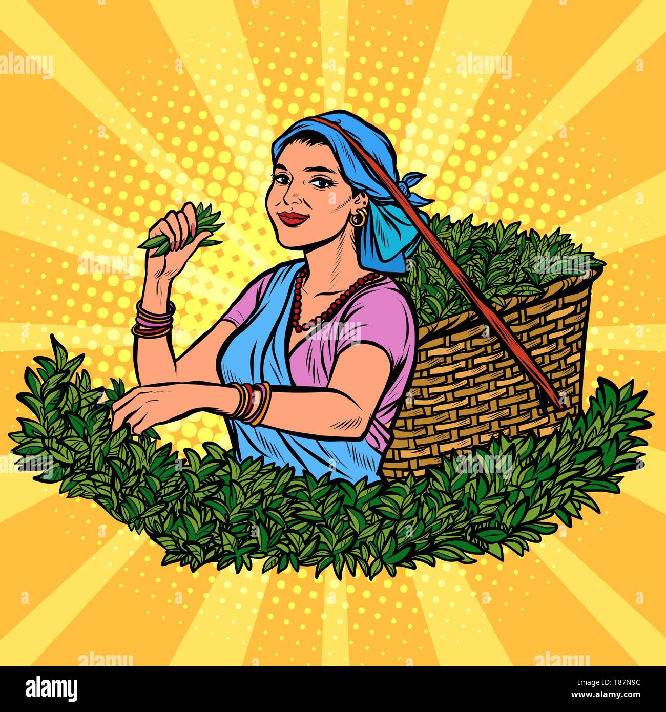 In Indien oder Sri Lanka Tee Picker. Die traditionelle Ernte. Frau in Tracht. Pop Art retro Vektor Illustration kitsch Vintage Stock Vektor In Indien oder Sri Lanka Tee Picker. Die traditionelle Ernte. Frau in Tracht. Pop Art retro Vektor Illustration kitsch Vintage Stock Vektor