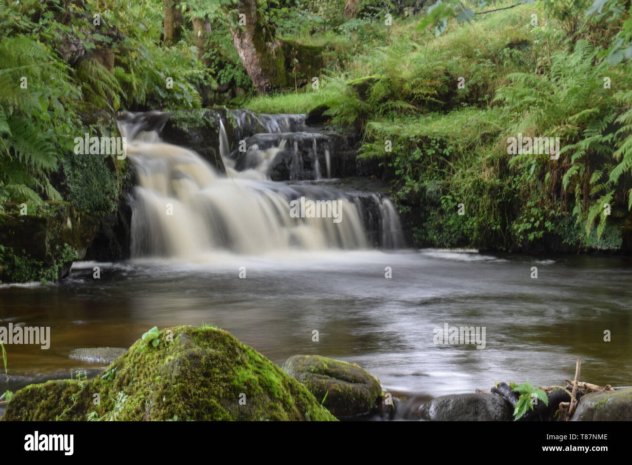 Kleiner Wasserfall auf dem Stream Stockfoto