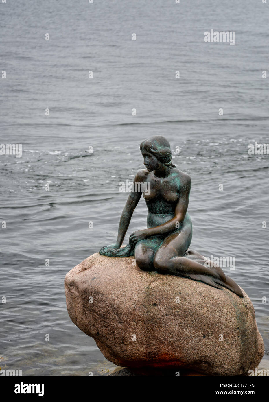 Statue der kleinen Meerjungfrau am Meer in Kopenhagen. Dänemark Stockfoto