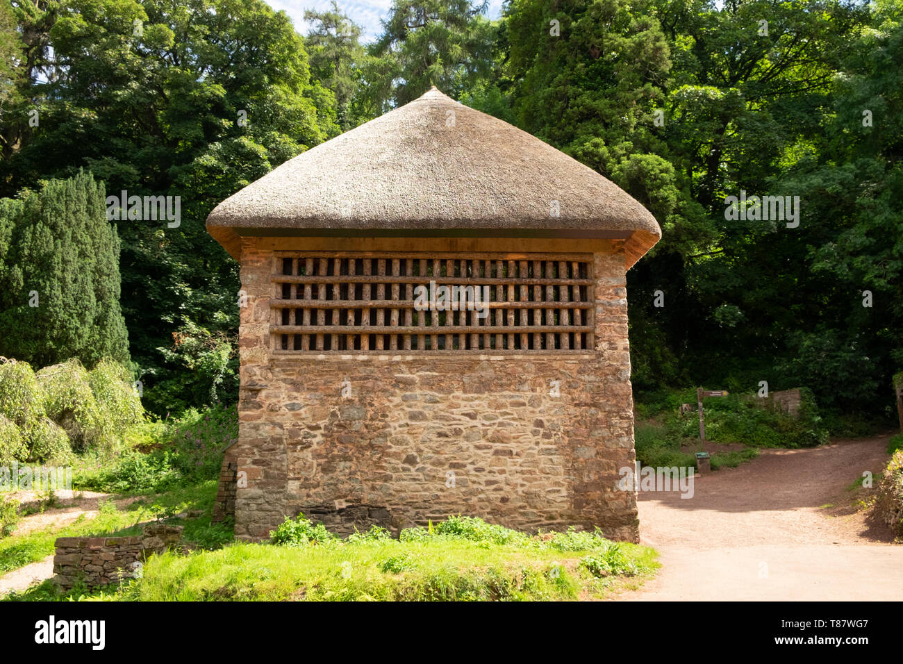 Reetgedeckte C 17 Landhaus aus Stein" wildhüter Cottage' im malerischen Dorf Cockington, Devon, England, UK. Holzlatten wurden für hängende Fasane Stockfoto