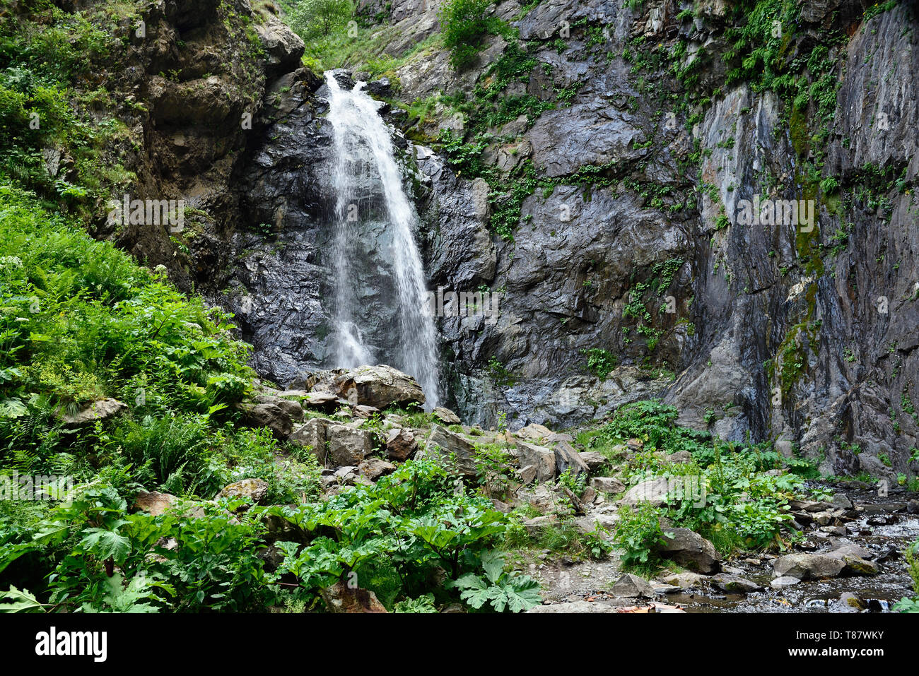 Kaukasus, Gveleti kleine Wasserfälle in einem Dariali Schlucht in der Nähe der Kazbegi, Georgien Stockfoto