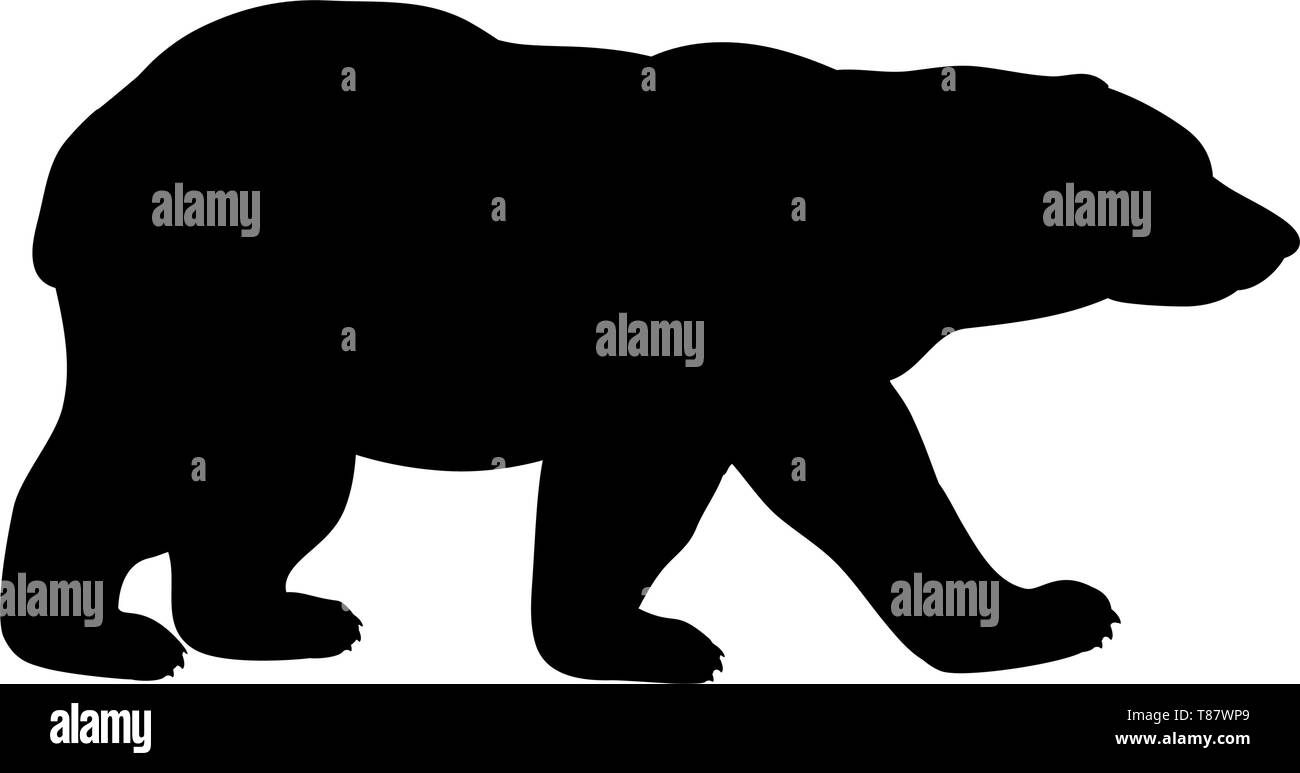Polar Bear Cub wilde schwarze Silhouette Tier. Stock Vektor