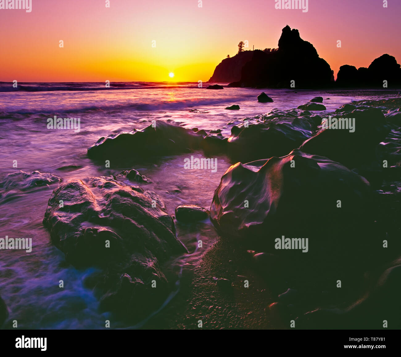 Sonnenuntergang auf Ruby Beach in Olympic Nationalpark Olympic Halbinsel, Washington, USA. Stockfoto