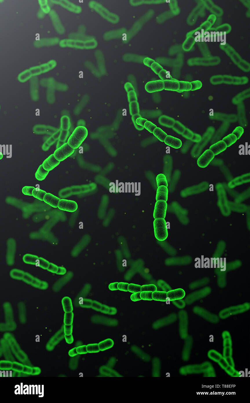 Streptococcus pneumoniae grüne Zellen auf dunklem Hintergrund Stockfoto