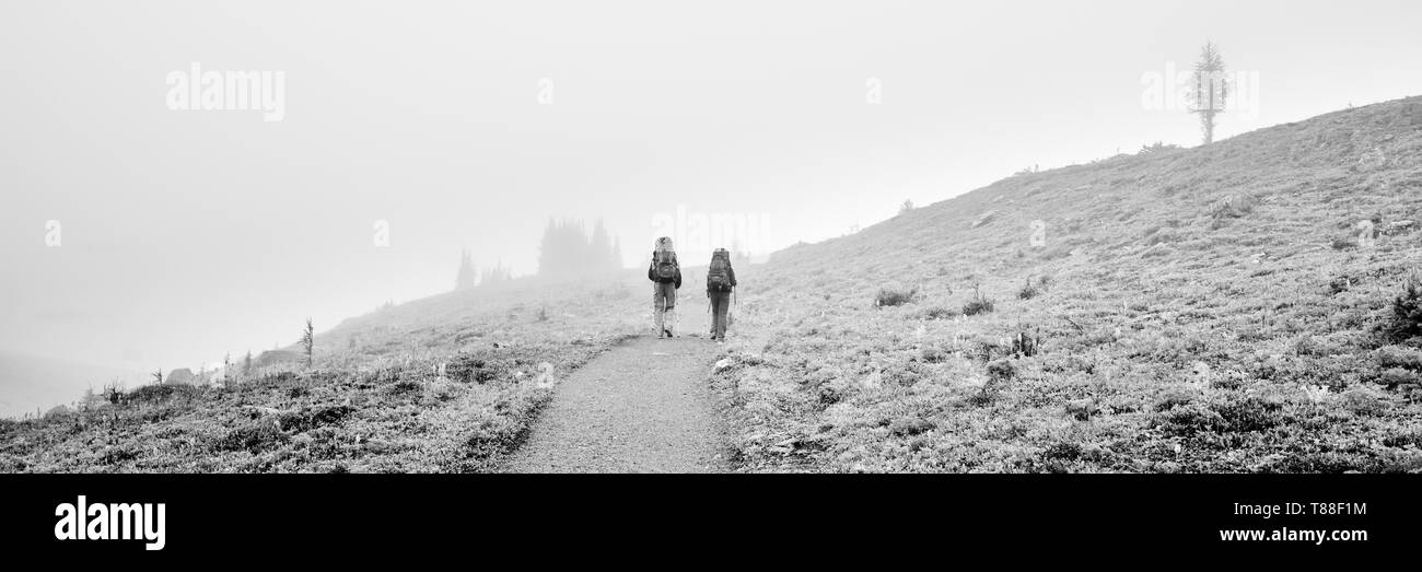 Bei 7500 Fuß einem nebligen Pfad führt zwei Wanderer in die Berge & Beyond im Sunshine Acres. Stockfoto