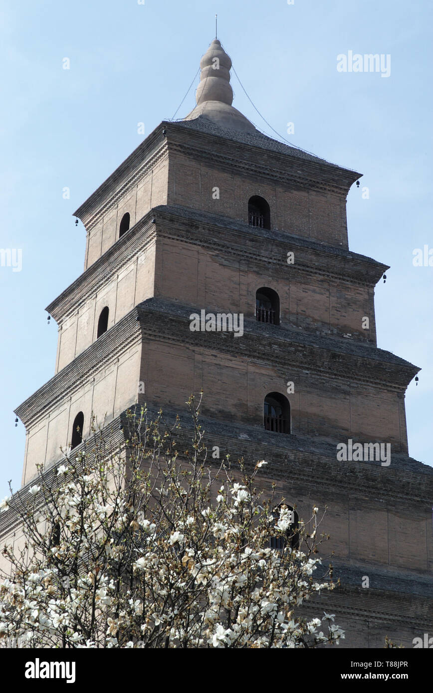 Teilweise mit Blick auf die riesigen Wildgans-pagode in Xi'an, China Stockfoto