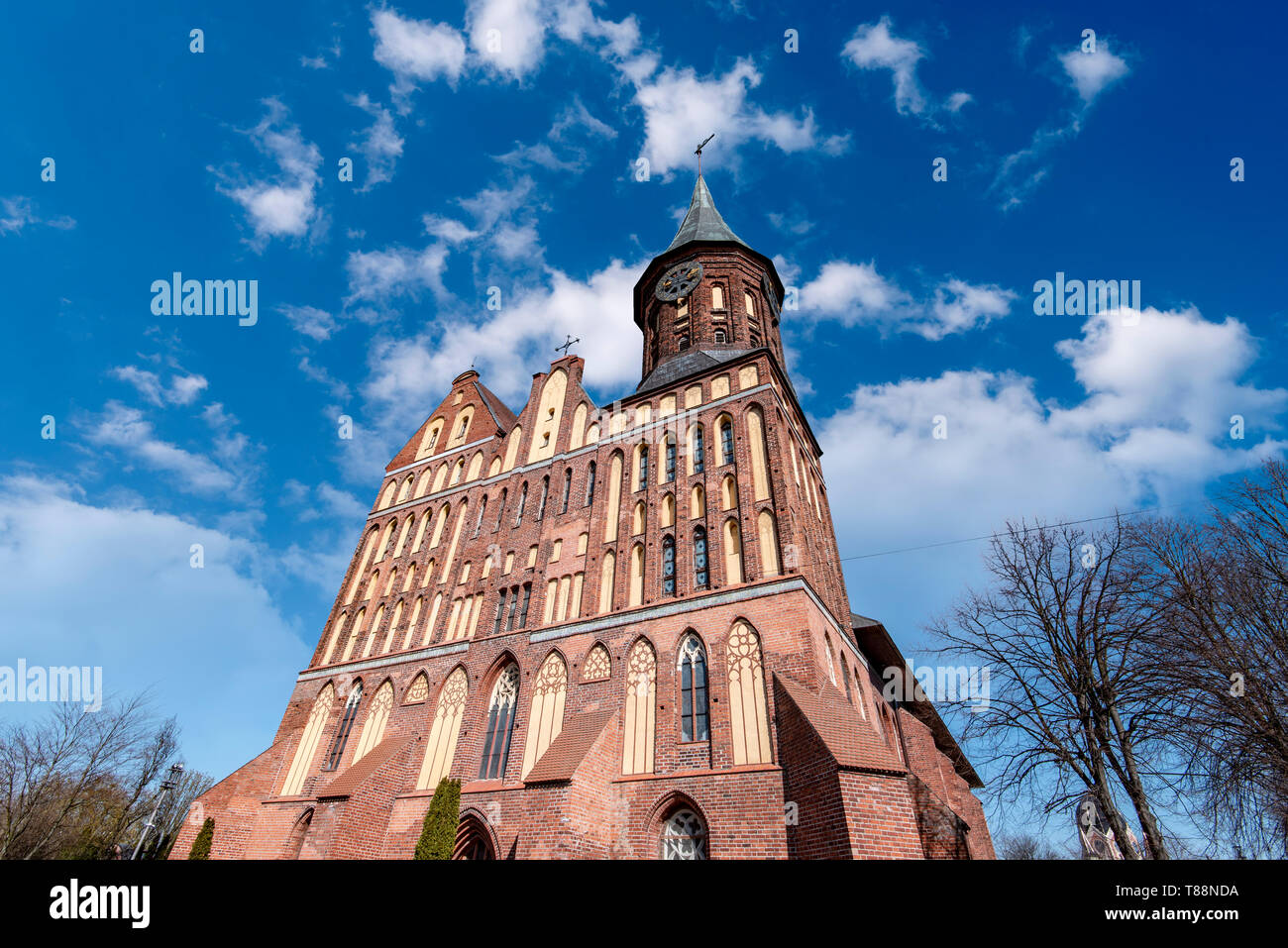 Dom oder Königsberg Kathedrale in Kaliningrad auf Kant Insel in Russland Stockfoto