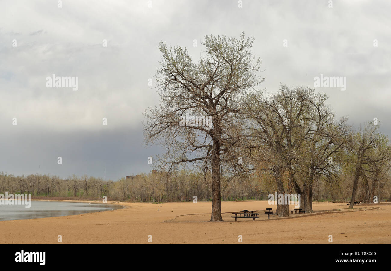 Schöne Landschaft in Cherry Creek Park und das Reservoir an einer Quelle bewölkten Tag, Denver, Colorado Stockfoto