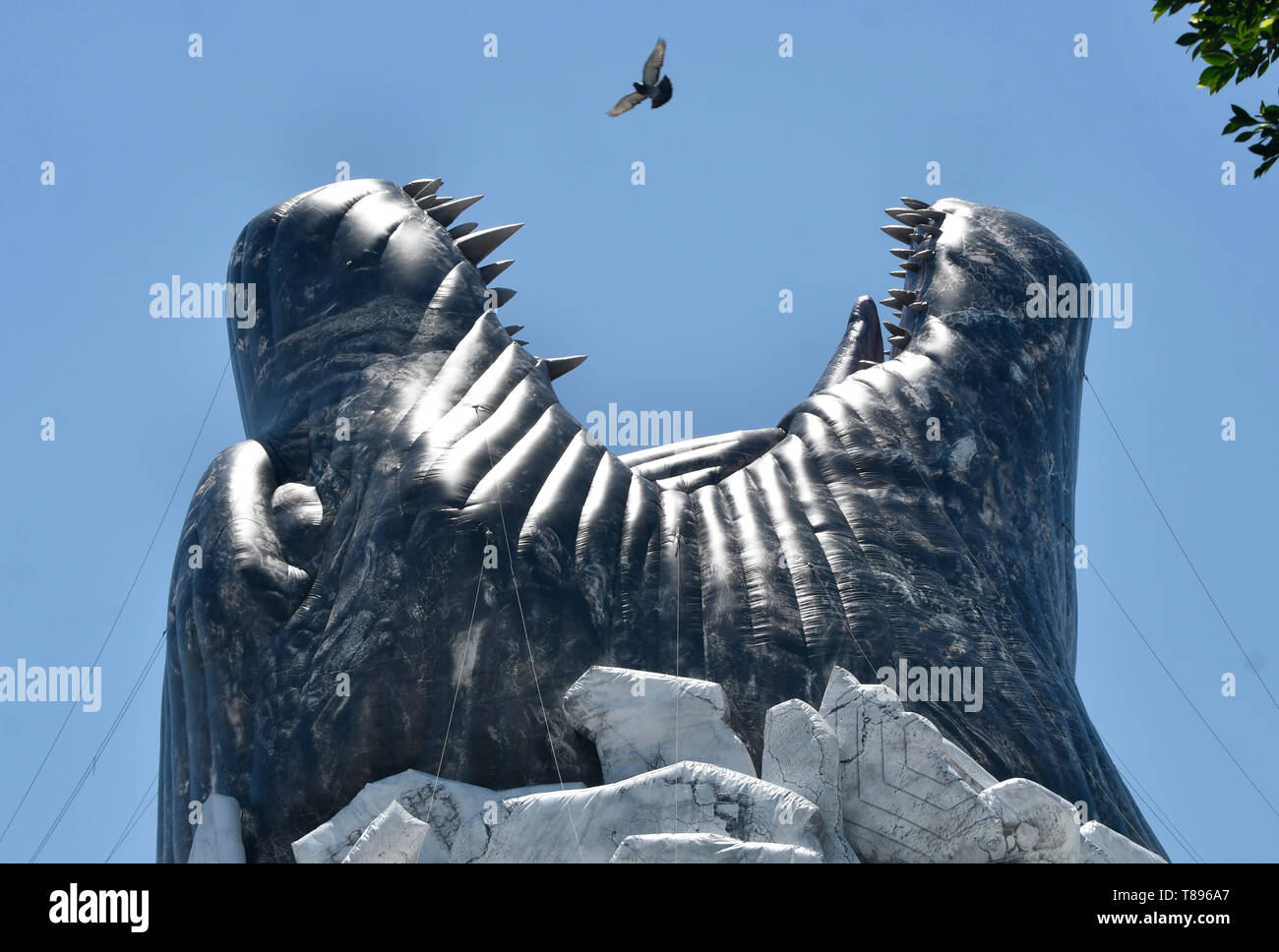 Eine Taube fliegt über die Backen von Godzilla Kopf sprengen aus der Oberseite des berühmten Hollywood Cinerama Dome/ArcLight theater Samstag, 11. Mai 2019. Die neuesten Godzilla bewegen' 'König der Monster'' beginnt 31. Mai. Hollywood CA. Foto von Gene Blevins/ZUMAPRESS Credit: Gene Blevins/ZUMA Draht/Alamy leben Nachrichten Stockfoto