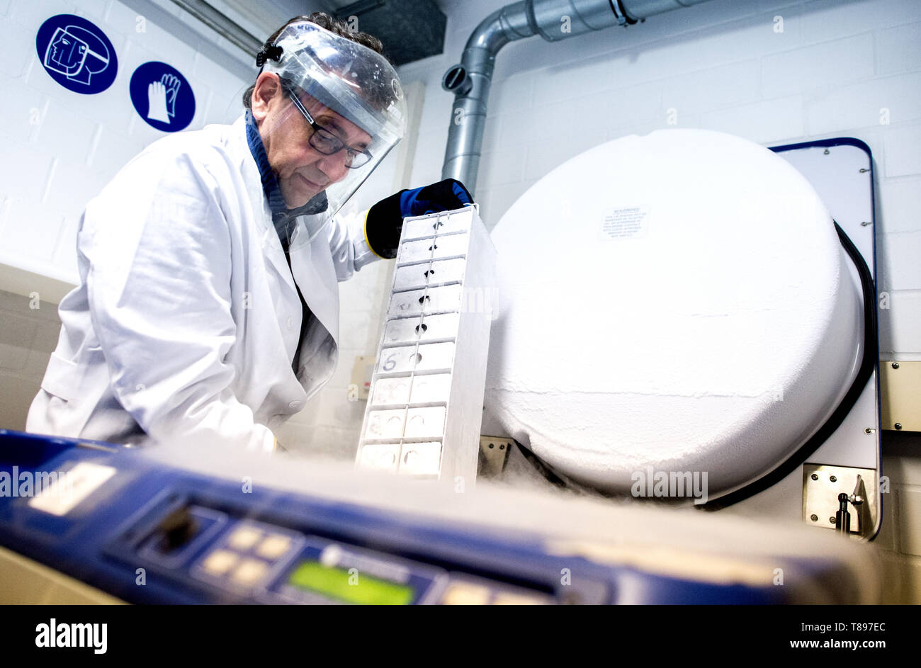 Braunschweig, Deutschland. 30 Apr, 2019. Wilhelm Dirks, Biologe in der Forschung auf die menschliche und tierische Zellen, entfernt ein Container mit gespeicherten Zellen von einem Stickstofftank für cryoreserves in einem Lagerraum der Deutschen Sammlung von Mikroorganismen und Zellkulturen (Dsmz). Credit: Hauke-Christian Dittrich/dpa/Alamy leben Nachrichten Stockfoto