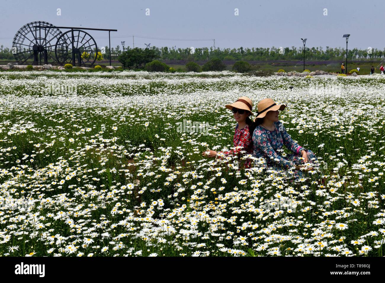 Jinan, Provinz Shandong in China. 12. Mai 2019. Menschen besuchen Qilu Wein Home kulturelle Kreativität Industrial Park im Osten der Stadt Anqiu, Provinz Shandong, China am 12. Mai 2019. Der Qinglong Berggebiet von Anqiu wirtschaftliche Entwicklung Zone, ursprünglich einer stillgelegten Steinbruch mit fragilen Umwelt, ist nun verwandelt ein Tourismus der Stadt zu sein. Die Umwandlung ist mit sieben Jahre Bemühung durch Shandong Jingzhi Wein Co., Ltd., die qilu Wein Home kulturelle Industrial Park auf dem ehemaligen Steinbruch baut. Quelle: Guo Xulei/Xinhua/Alamy leben Nachrichten Stockfoto