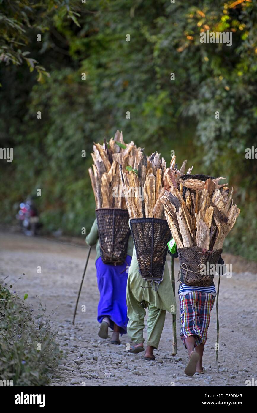 Indien, Arunachal Pradesh, Khonsau Dorf, Nokte Stamm Stockfoto